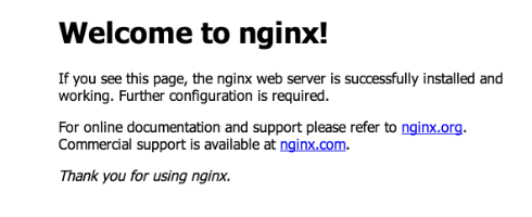 Nginx default page